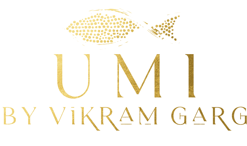 UMI by Vikram Garg