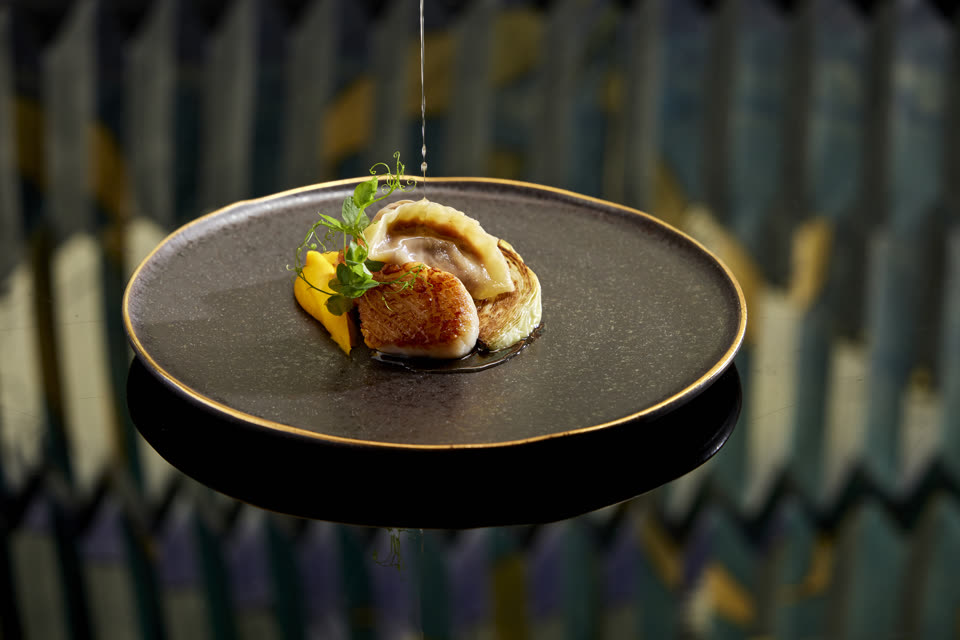 Foie gras gyoza